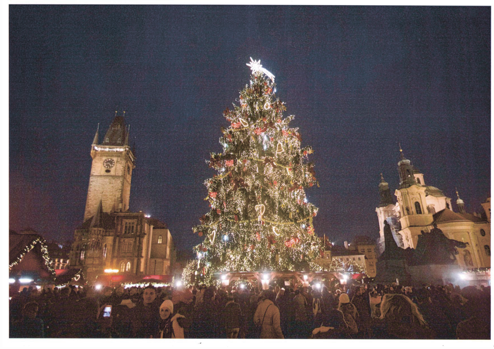 Как провести новогодние каникулы в Праге (фото 15)