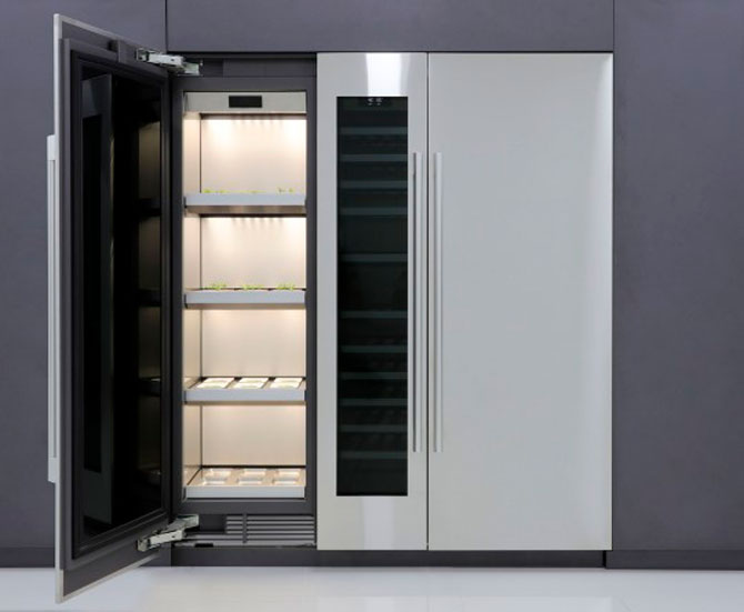 LG разработала шкаф-теплицу для выращивания зелени и овощей дома (фото 2)