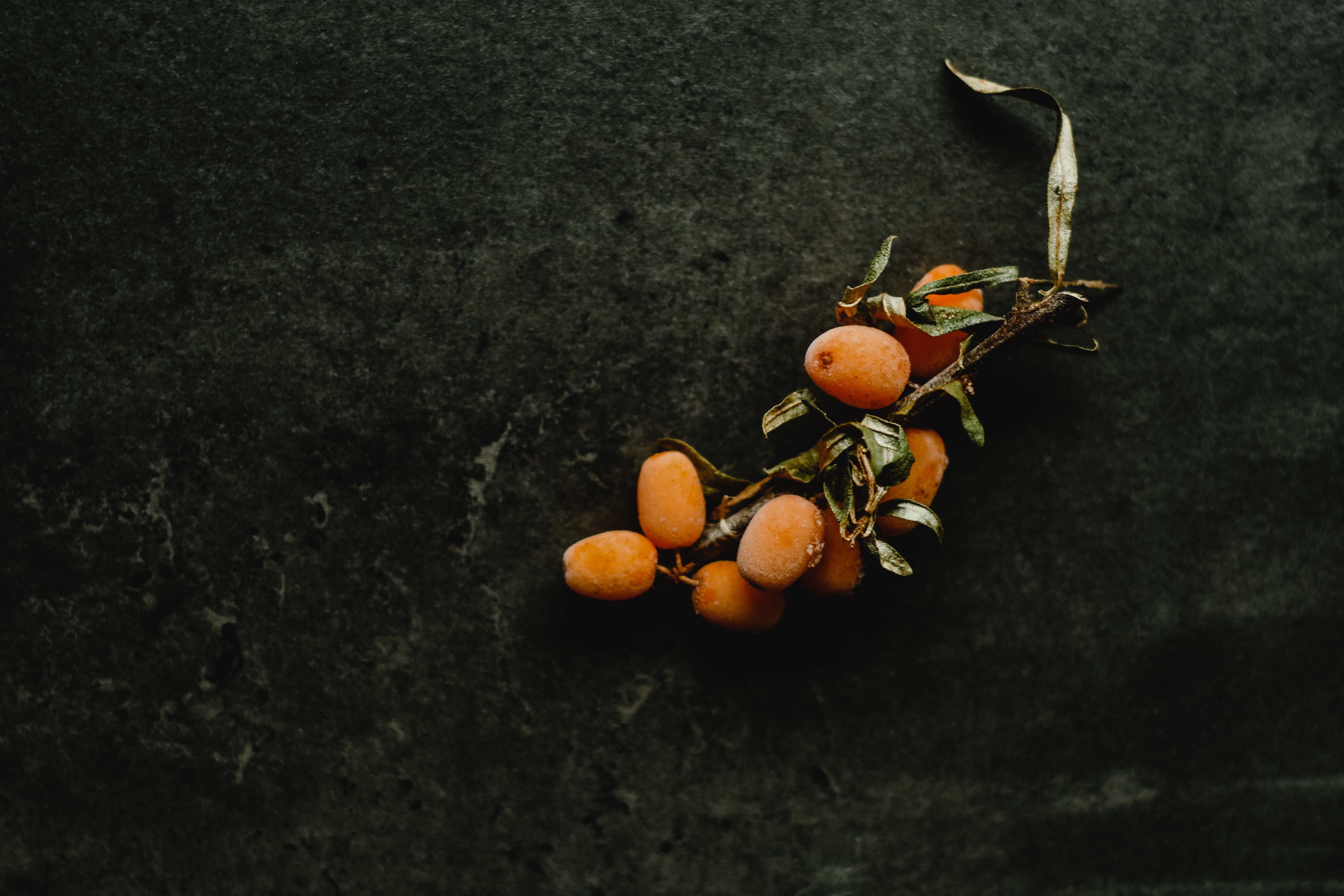 Оранжевые овощи, фрукты, ягоды для здоровья зимой (и много полезных рецептов) (фото 10)