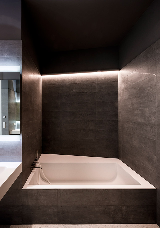 Апартаменты в Вене по проекту Алекса Грэфа (фото 6)