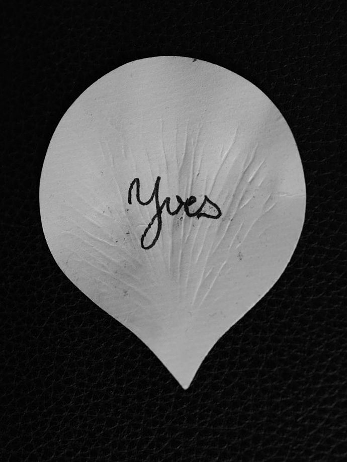 Что сделал Эди Слиман с Yves Saint Laurent (фото 21)