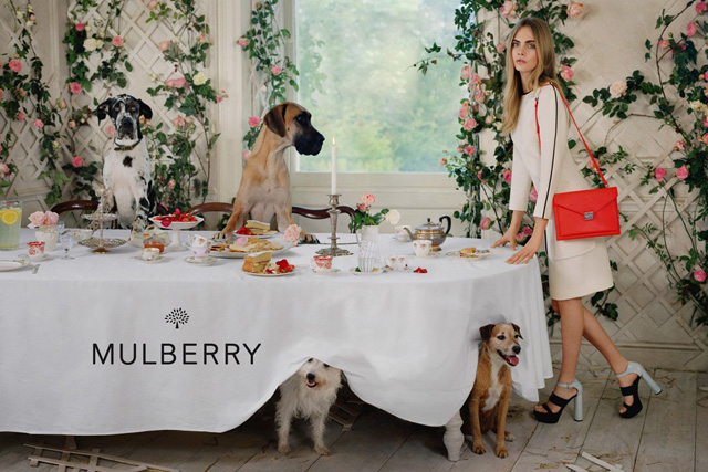 Кара Делевинь в весенней кампании Mulberry (фото 2)