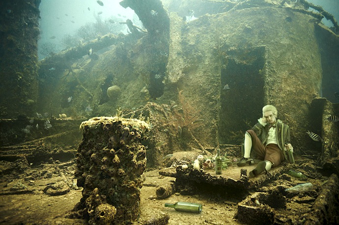 Подводная придворная жизнь (фото 6)