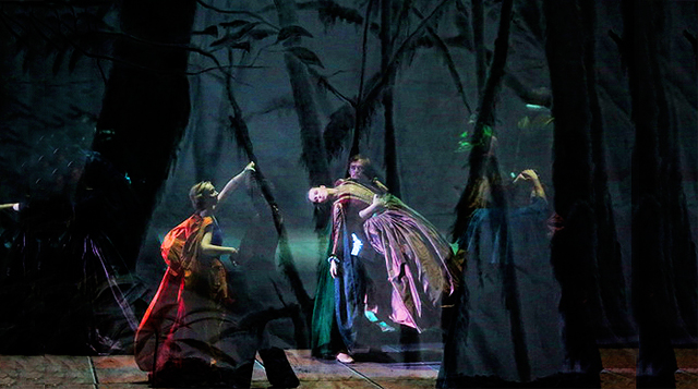 Премьера оперы "Дон Карлос" в Большом театре (фото 3)