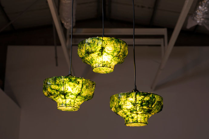 Лампы с водорослями от Nir Meiri (фото 1)