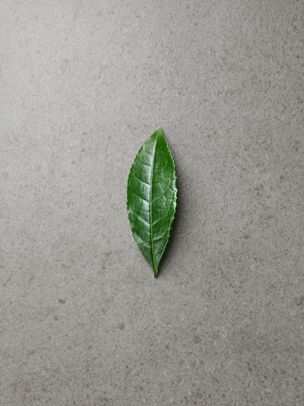 7 фактов о компании Amorepacific, которые мало кто знает (фото 1)