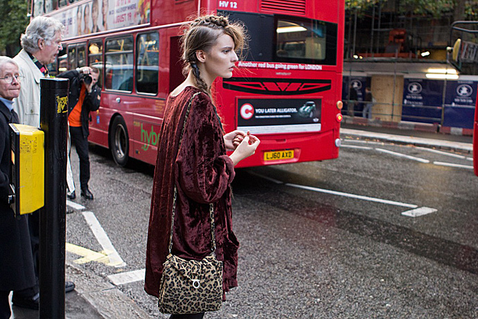 Бархат каждый день (фото 22)