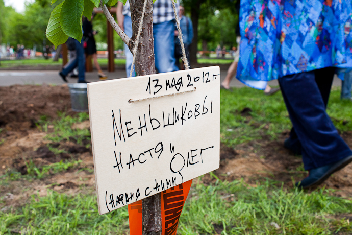 Посадка черешневого леса в парке Горького (фото 34)