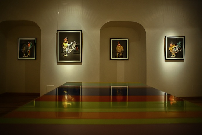 Галерея "Победа" в ГУМе: первые кадры (фото 8)