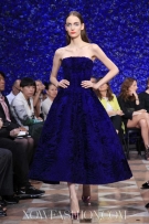 dior_hc_fw12