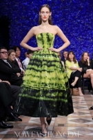 dior_hc_fw12