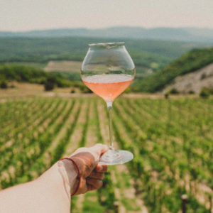 Чем закусывать натуральное вино: долма из мангольда, абрикосовая каша и ягодный гаспачо