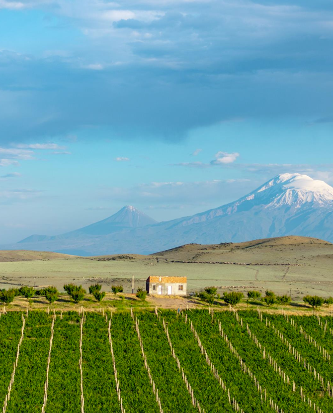 7 причин попробовать и полюбить новое армянское вино