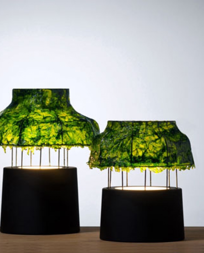 Лампы с водорослями от Nir Meiri
