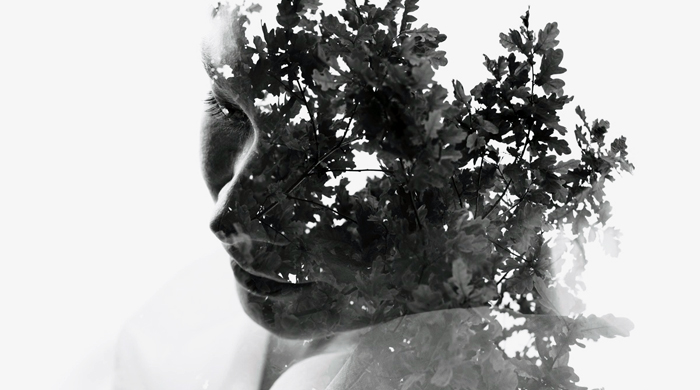 "Симбиозис": первая выставка Кристофера Реландера в Москве