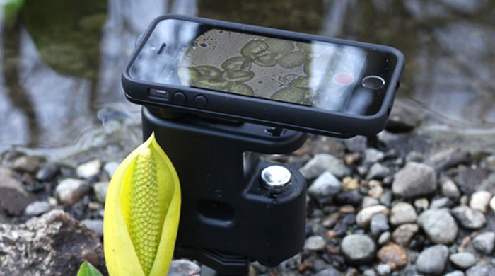 MicrobeScope: первый в мире микроскоп для iPhone