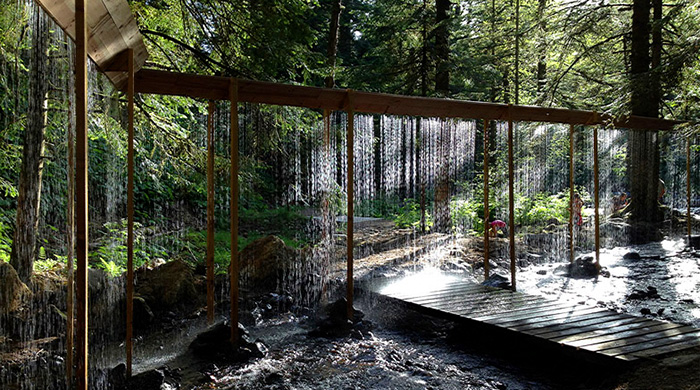 Зигзагообразный водопад Bridal Veil в лесном массиве Франции