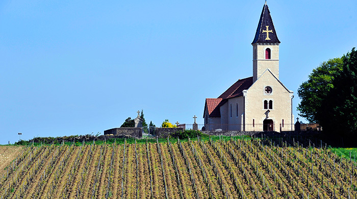 Что делать в Бургундии и почему ее обязательно нужно увидеть