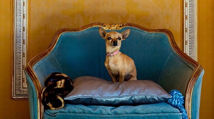 Без официоза: отель Ritz by Belmond в Мадриде