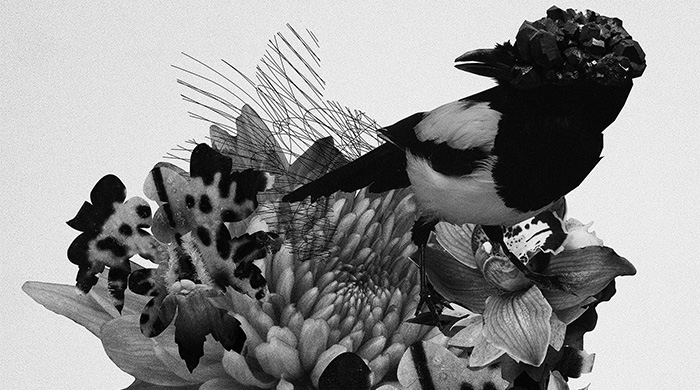 Лучшие московские выставки сентября