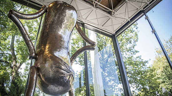 Эрвин Вурм создал абстрактные скульптуры в виде сосисок