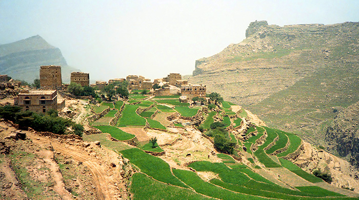 "Щебневый вызов" в ответ на #IceBucketChallenge