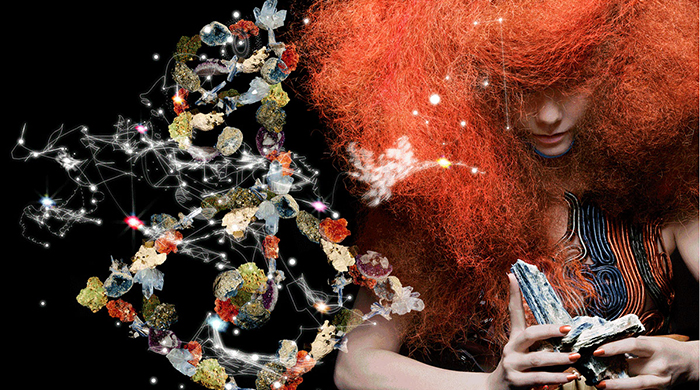 Приложение Бьорк Biophilia будет включено в школьную программу