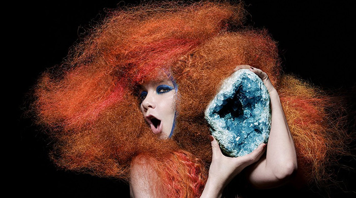 МоМА откроет ретроспективу Бьорк в 2015 году