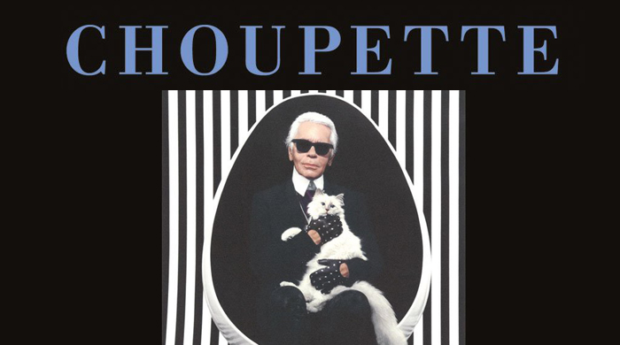 Кошка Карла Лагерфельда выпускает книгу о своей "частной жизни"