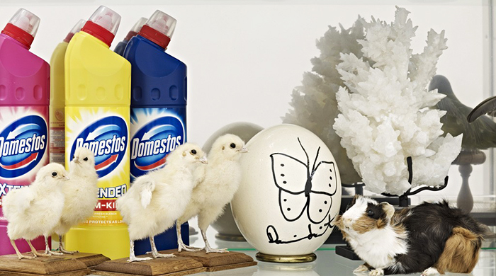 Дэмиен Херст создаст кабинет редкостей в парижской кунсткамере