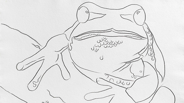 От Уорхола до Тулуз-Лотрека: 7 главных выставок августа