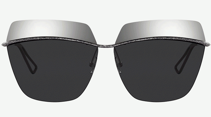 Объект желания: очки Dior Metallic