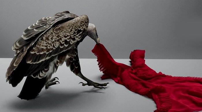 PETA призывают Harvey Nichols вернуться к антимеховой политике