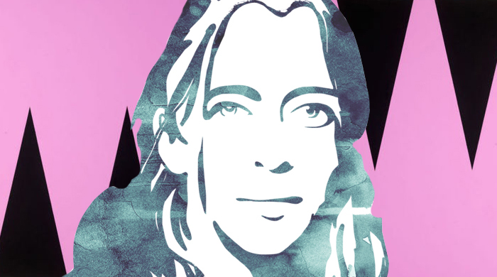 Анн Демельмейстер пишет книгу