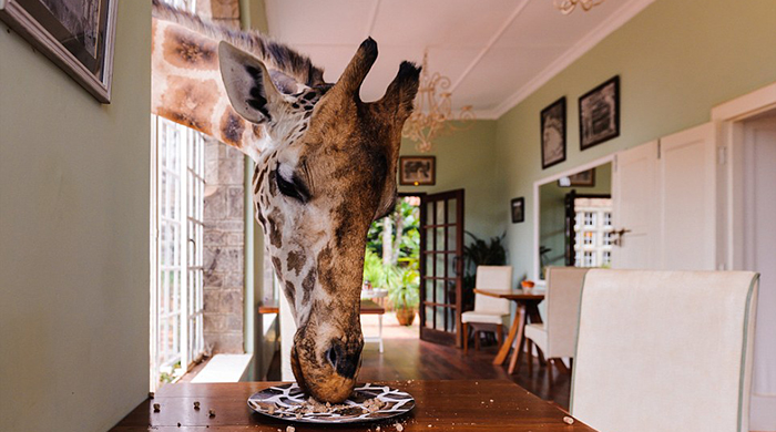 Успеть за две недели: конкурс фотографий National Geographic