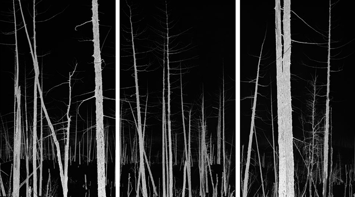 Аукцион шедевров, закопанных на необитаемом острове