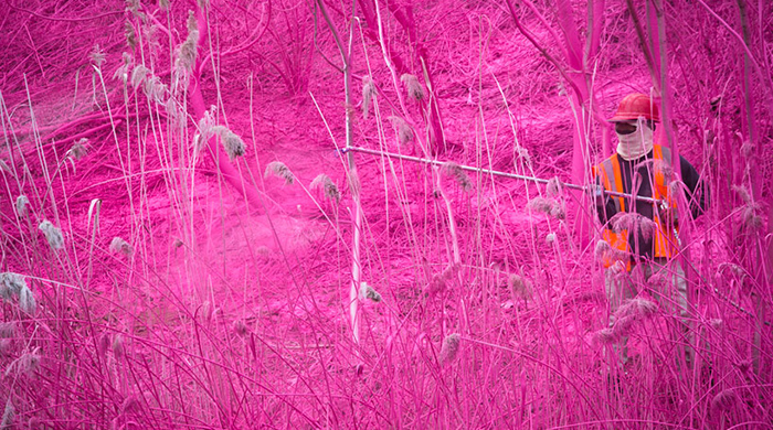 Буйство цвета за окном поезда: проект Катарины Гроссе