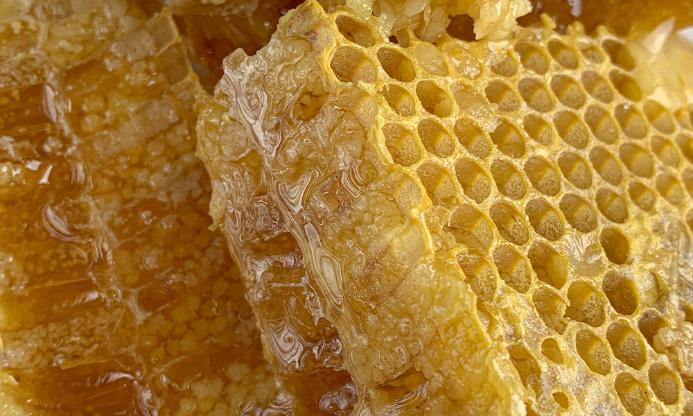 Расплавленное золото: маски, сыворотки и кремы с медом (фото 1)