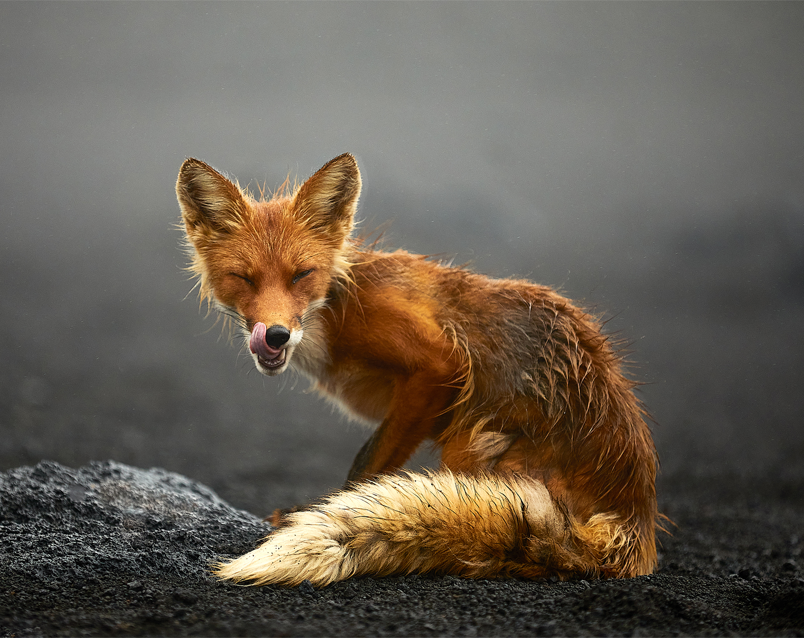 В Москве пройдет выставка фотографий Nature Photo Team (фото 10)