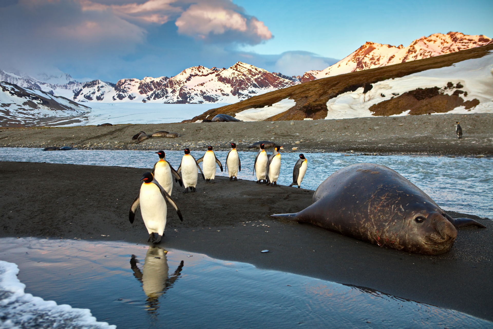 В Москве пройдет выставка фотографий Nature Photo Team (фото 5)