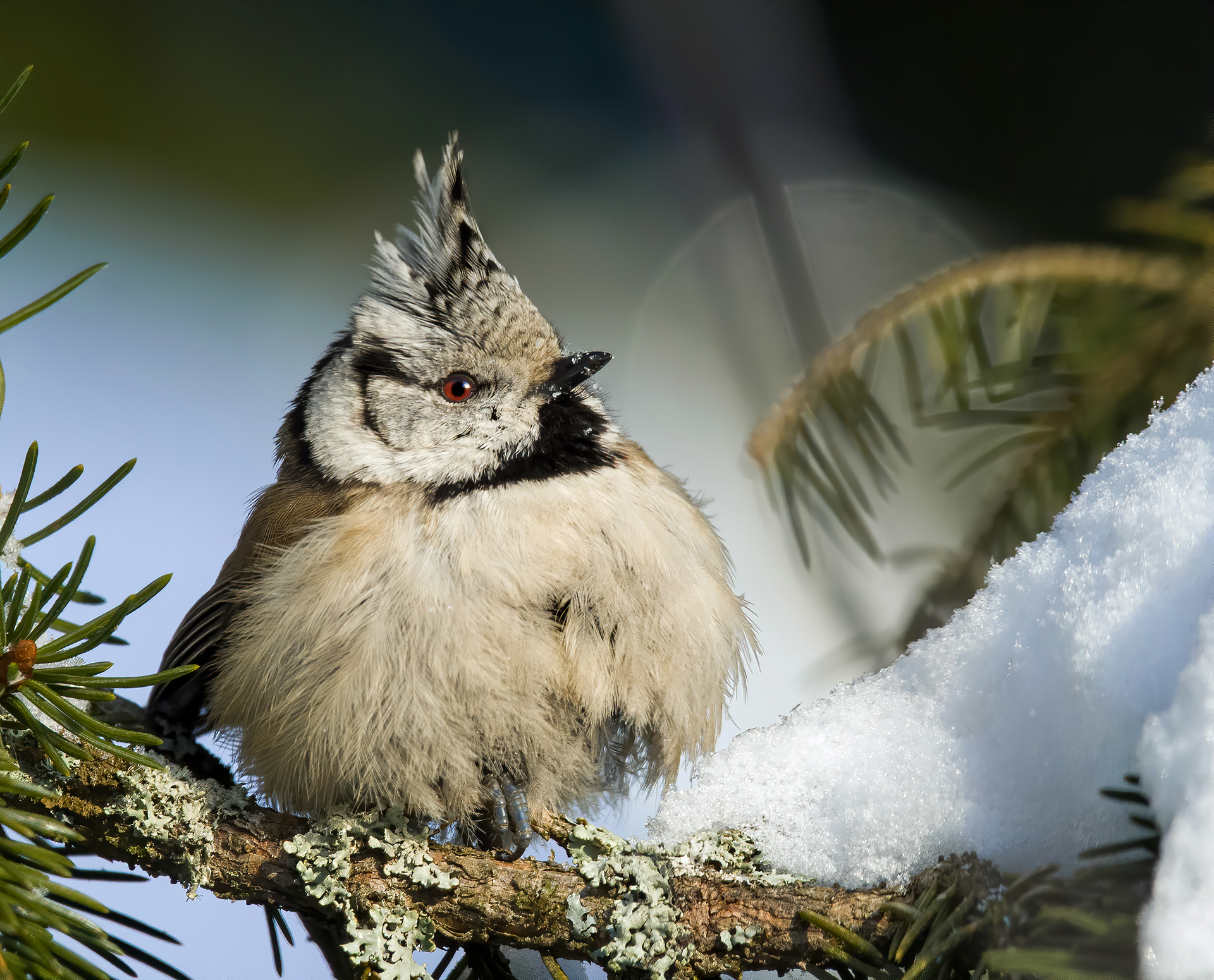 В Москве пройдет выставка фотографий Nature Photo Team (фото 1)