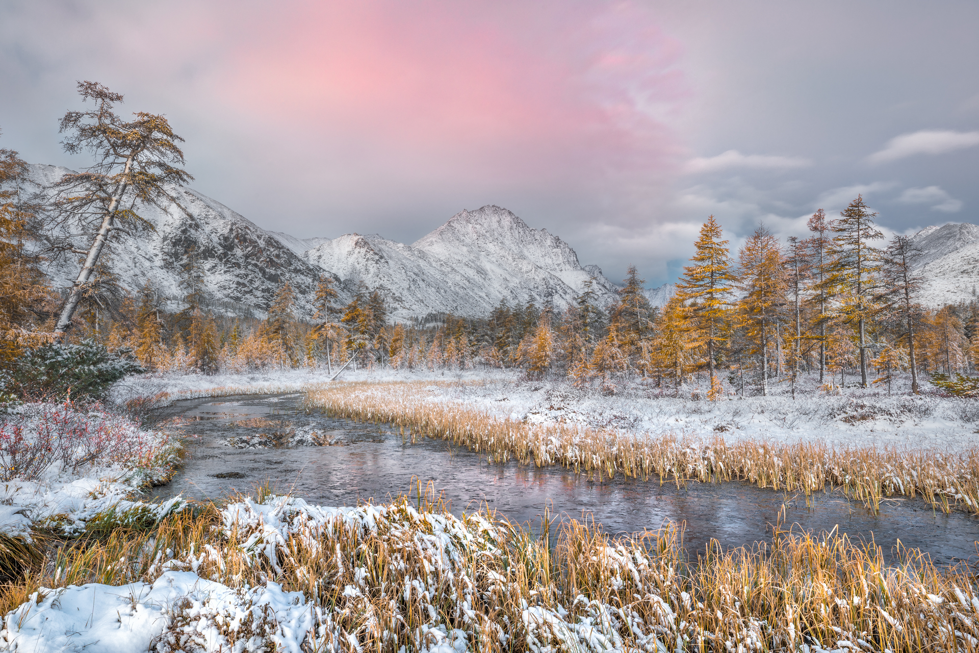 В Москве пройдет выставка фотографий Nature Photo Team (фото 3)