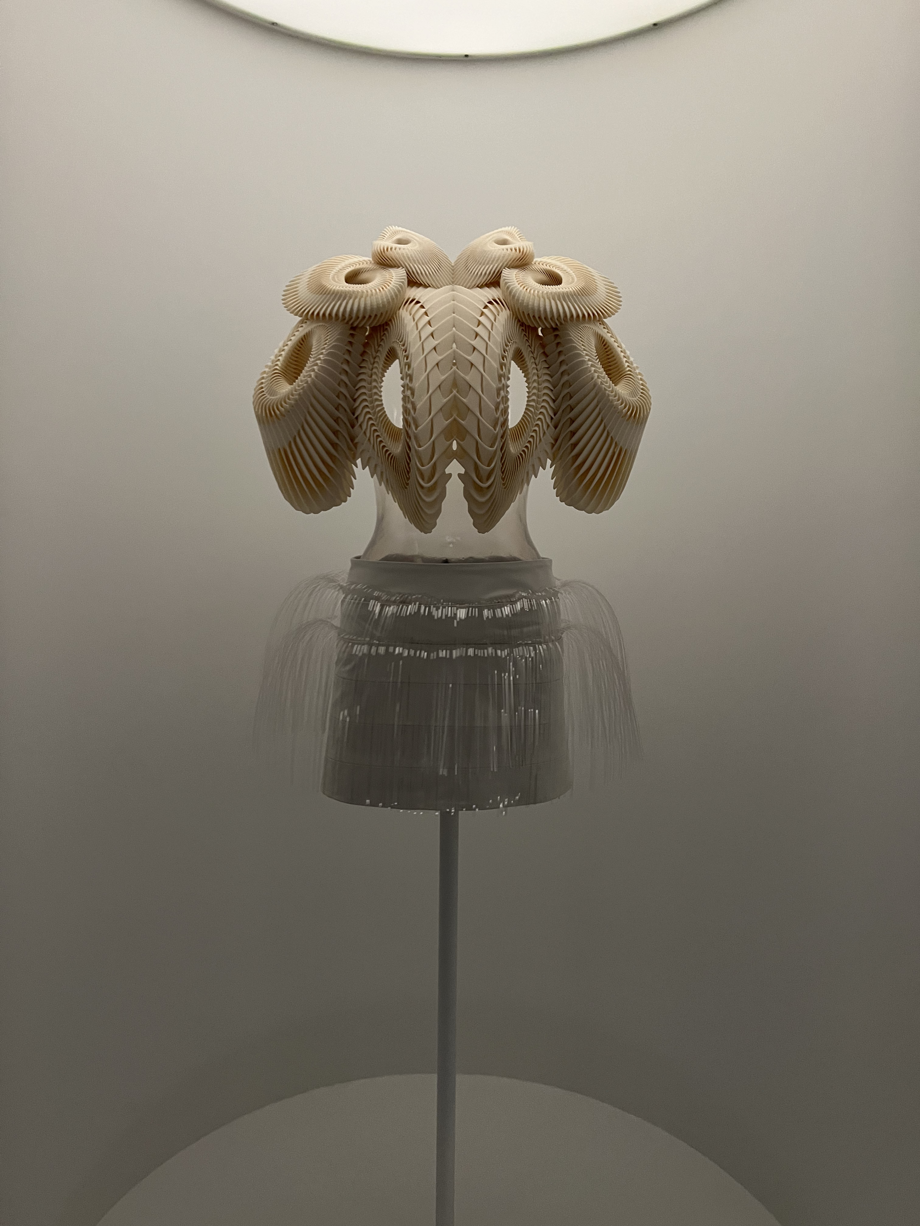 Вдохнуть Schiaparelli и прикоснуться к Dior: главные шедевры выставки Sleeping Beauties: Reawakening Fashion (фото 55)