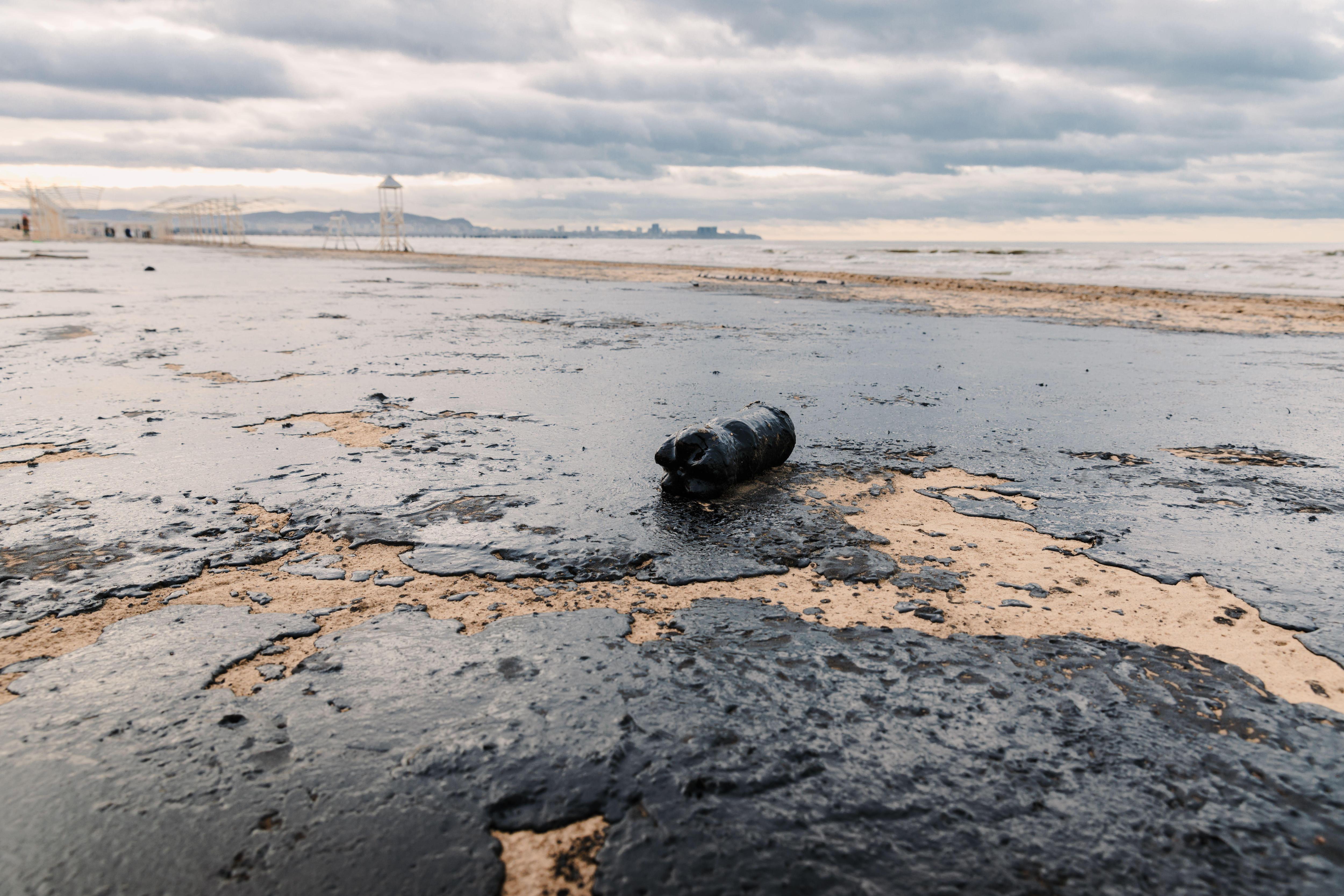 Организации для помощи после разлива нефти в Черном море (фото 1)