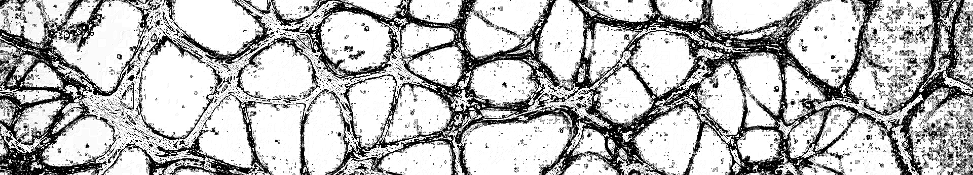 Как поддерживать митохондрии в холодный период? Отвечает нутрициолог (фото 2)