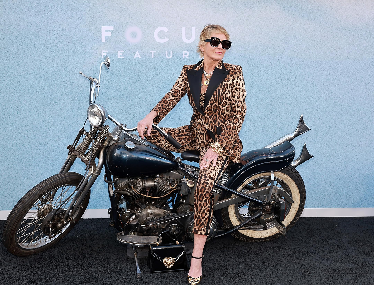 Сексуальная убийца и абстракционистка. Шэрон Стоун в 10 фотографиях (фото 9)