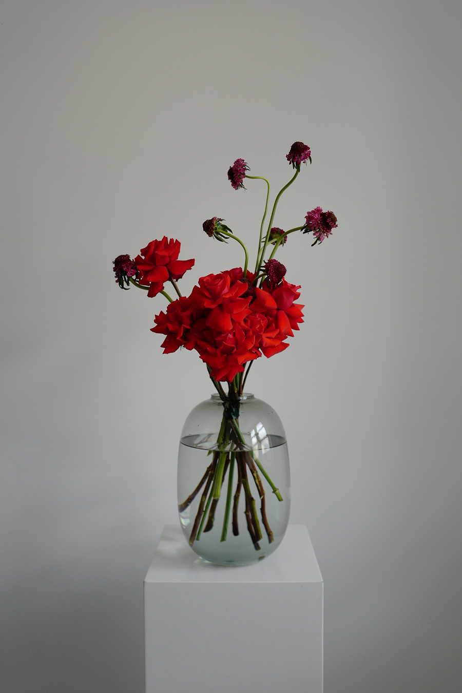 polnalyubvi выпустила новый альбом «Прощай и люби меня» (фото 6)