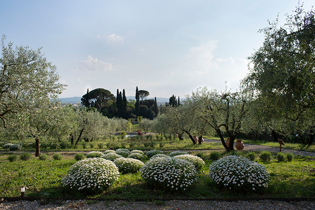 В чем исключительность Officina Profumo-Farmaceutica di Santa Maria Novella (фото 5)