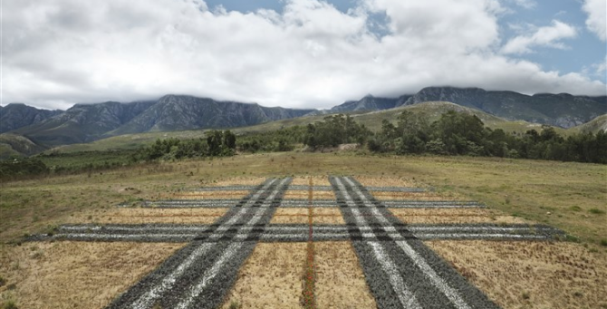 Burberry представил новую серию экологического проекта Burberry Landscapes