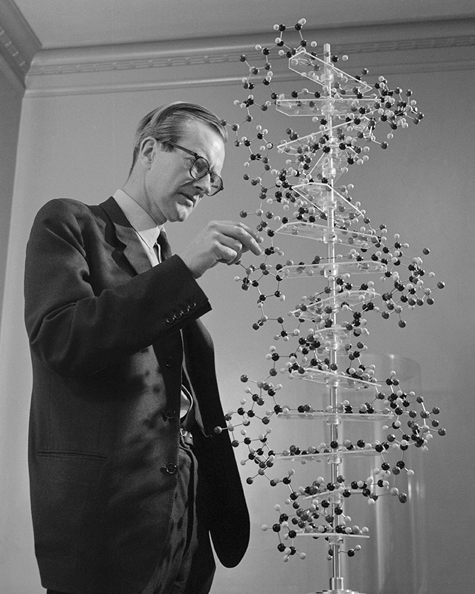 Вопрос: надо ли сдавать генетические тесты перед приемом витаминов? (фото 3)